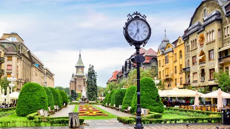 „Tunelul iubirii” de la Timișoara, viral pe rețelele de socializare. „Niciodată nu l-am văzut așa înflorit”