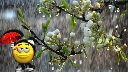 Meteorologii ANM, prognoza pentru 4 săptămâni. Ce temperaturi vom avea de Paște