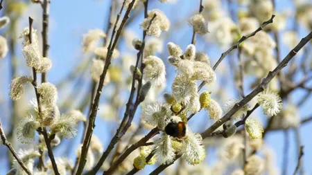 Inversiune termică de Florii, soarele alungă iarna. Cum va fi vremea până pe 12 mai: prognoza meteo detaliată pe săptămâni
