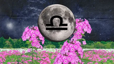 Lună Plină roz în Balanță, un punct de cotitură apare în viața zodiilor. Contextul astral favorizează vindecarea și ne ajută să ne recentrăm