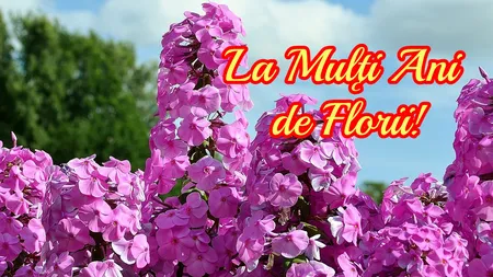 Mesaje de Florii 2025. Urări speciale pentru cei care-şi serbează onomastica. Ce nume se sărbătoresc de Florii