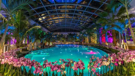 Therme București, acuzată că și-a falsificat portofoliul pentru a primi un contract de sute de milioane în Canada / Investigație NYT