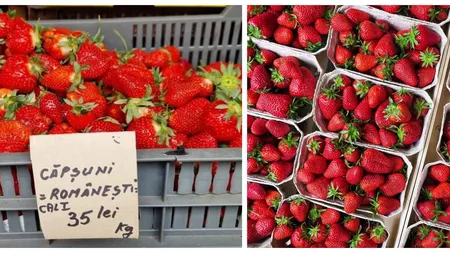 Cât costă căpșunele românești anul acesta. Primele fructe au ajuns pe tarabe