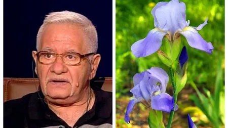 Horoscopul Florilor. Mihai Voropchievici dezvăluie care e cea mai narcisistă zodie
