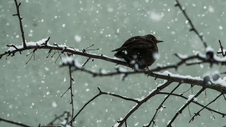 Vine vortexul polar! Avem iarnă în aprilie. Cât este valabilă atenționarea meteorologilor