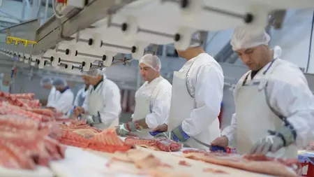 Salariu lunar 4.500 de euro pentru românii care vor să lucreze în industria cărnii. Ce condiţii trebuie îndeplinite