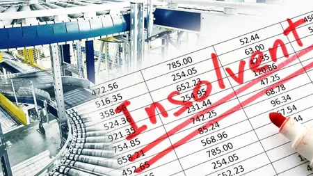 Trei firme dintr-un grup care deține șapte fabrici importante din România au intrat în insolvență