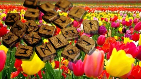 Horoscop rune 24 aprilie 2025. Ce zodie are parte de protecţia totală a WUNJO. Fehu, Ansuz sau Jera vin cu mesaje care încurajează curajul, introspecția și transformarea