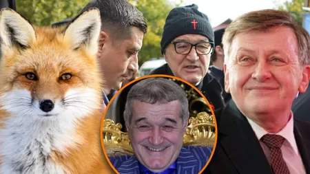 ALEGERI PREZIDENŢIALE 2025. Ce vulpoi! Gigi Becali anunţă că va face campanie alături de George Simion: Ce vrei să fac, să-mi pun nepoţii să poarte fustă dacă-l votez pe Nicuşor Dan?