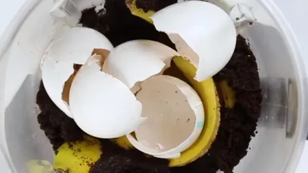 Îngrășământ natural excelent pentru plantele tale. Se face din resturi de mâncare