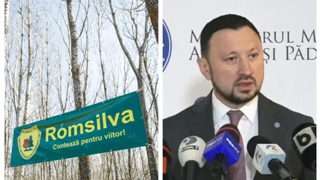 Se fac concedieri la Romsilva. Ministrul Mediului a propus reducerea numărului de directori de la 99 la 17