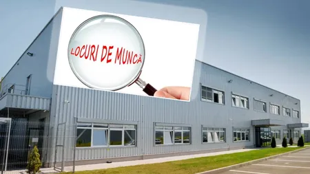 Fabrica din România care își propune să dubleze numărul de angajați. Profitul companiei, în creștere