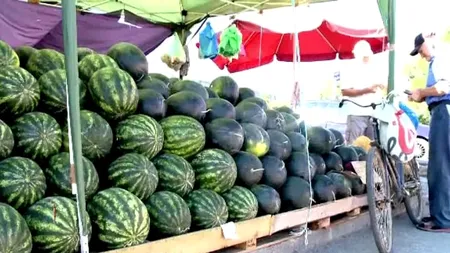 Se anunţă criză de pepeni în România. Cu cât se vinde kilogramul la producători şi cum ajunge de cinci ori mai mare în pieţe