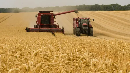 România este principalul exportator de grâu din Europa, peste Franţa. Se estimează producţie record şi pentru sezonul următor