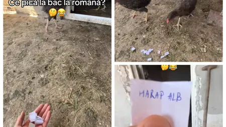 SUBIECTE ROMÂNĂ BAC 2025. Un elev a apelat la găinile din curte pentru a afla ce pică la examen