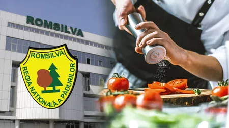 Cineva a gătit PUTERNIC aici! Bucătarul-șef de la Romsilva primea un spor de bucătărie PIPERAT -  100% din salariul de bază