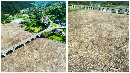 INCREDIBIL! Imaginile dezastrului fără margini. Viaductul de la Poiana Largului (Neamț) s-a transformat într-o mare de lemne și resturi venite din amonte, după dezastrul de noaptea trecută de pe râul Bistrița