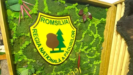 Verificările la Romsilva au scos la iveală pierderi financiare masive, prime nejustificate, fonduri speciale gestionate defectuos şi suspiciuni de corupţie. A fost sesizat Parchetul General