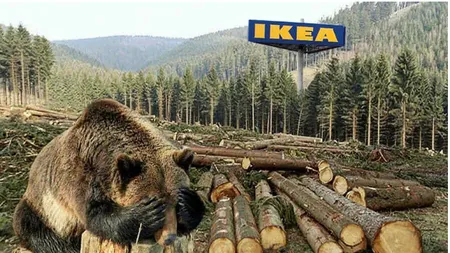 IKEA: Nu desfășurăm nicio activitate forestieră comercială în zonele desemnate la nivel național ca parte a patrimoniului forestier protejat al României