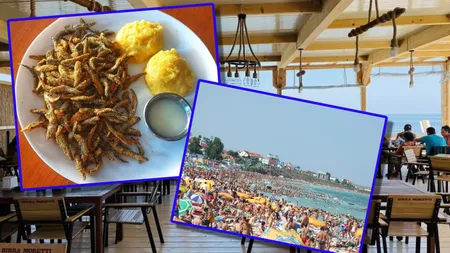 Cât costă 100 de grame de hamsii în Costinești. Prețuri mai mari ca în Mamaia: ”Doamne ferește să mai iei pâine, mămăligă și mujdei”