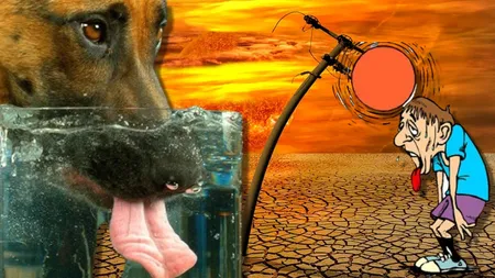 Avertizare meteo. Un nou val de căldură în România. Se anunță caniculă și disconfort termic ridicat
