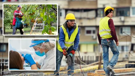 Angajări 2025. Locuri de muncă bănoase pentru români în străinătate. Se caută culegători de pere, dar şi stomatologi sau muncitori în construcţii