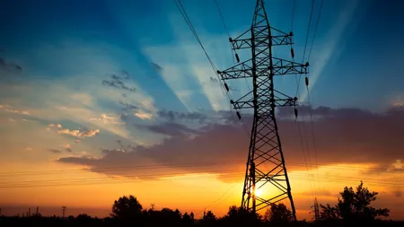 Salariu de 63.000 de lei pe lună pentru șefa Societății Participațiilor din Energie. Conduce o Tesla din 2023 și are soțul băgat pe un post călduț la ANCOM
