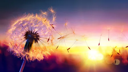 Zodiile care au șanse mari să își schimbe viața până la finalul lunii iulie 2025. Cum le influențează Mercur și Saturn retrograde