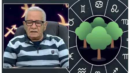 Mihai Voropchievici, zodiacul copacilor iulie 2025: Omul-brad se află în centrul Universului