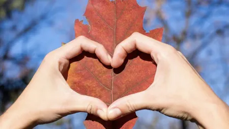 Horoscop septembrie 2025. Zodiile care vor simţi fiorii dragostei la început de toamnă