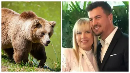 Partenerul Elenei Udrea povestește momentele terifiante când au fost atacați de urs la Sinaia. ”A coborât lângă cabana la care am stat peste noapte”