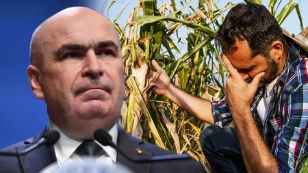 Bolojan dă undă verde adoptării unei legi care-i va afecta pe fermieri. ANAF îi va controla la sânge pe beneficiarii atestatelor de producător