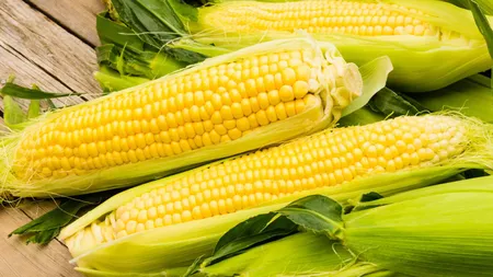 Ce afecțiuni poate trata porumbul fiert. De la bob până la cenușa coceanului, alimentul este un medicament natural pentru organism