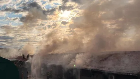 Incendiu violent în apropierea Capitalei, o hală de mase plastice s-a făcut scrum. VIDEO