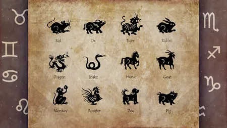 Zodiac chinezesc 16 august 2025. Șobolanii au parte de o energie creativă puternică. Iepurii pot descoperi noi oportunități în cariera lor