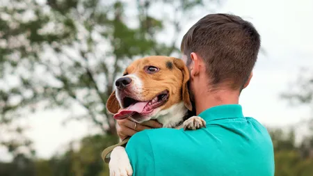 Un român a fost găsit mort în Italia, după ce câinele acestuia a alergat doi kilometri pentru a alerta prietenii bărbatului