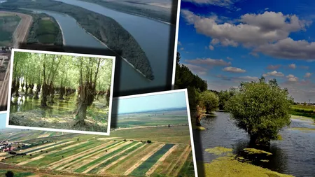 Cine este proprietarul Insulei Mari a Brăilei, unul dintre cele mai productive terenuri agricole din România. Agricultorii români, profund nemulțumiți