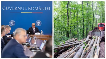 Guvernul și-a dat undă verde pentru reorganizarea Romsilva. ”Este creat temeiul legal”