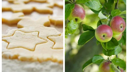 Rețetă simplă de biscuiți cu un singur măr. Este rapidă și foarte sănătoasă pentru cei mici
