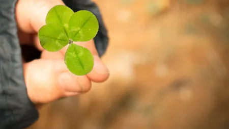NOROCUL sosește, în sfârșit, pentru 3 ZODII la final de săptămână. Primesc semne cereşti şi protecţie divină