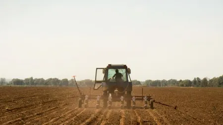 Românii care au un hectar de teren arabil pot primi 10.000 de euro pentru a face o pădure