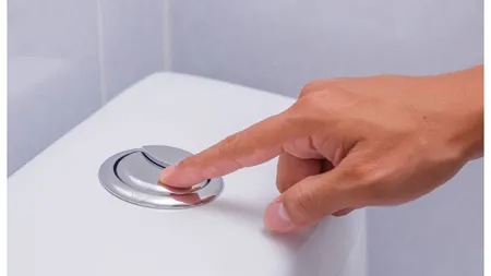 De ce unele vase de toaletă au două butoane de tras apa. Nu te-ai fi gândit niciodată la un asemenea răspuns