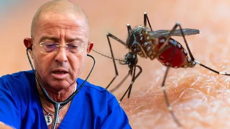 Alertă în România din cauza virusului West Nile. Medicul Tudor Ciuhodaru: ”17 cazuri au fost deja confirmate. Înțepăturile de țântar pot deveni letale”