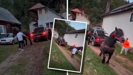 Cal lovit și forțat să tracteze o mașină de teren, care avea frâna trasă. Doi bărbați au fost reținuți