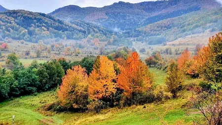 Prognoza meteo. Vreme de drumeţie până vineri, când vortexul polar se întoarce