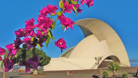 Români vs. străini, într-o vacanță în Tenerife. Iată lista activităților preferate