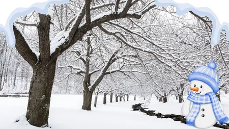 Adio toamnă, gerul vine cu pași repezi: Iată când va fi prima temperatură negativă din București, conform Accuweather