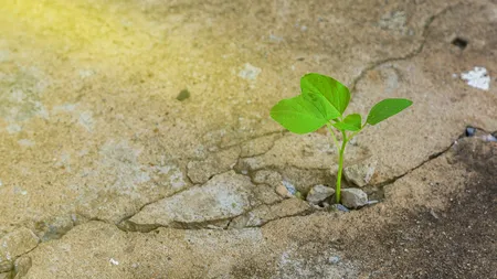 4 ZODII care NU pot fi oprite în OCTOMBRIE 2025. Ce rol are prezența focosului Marte în secretosul Scorpion