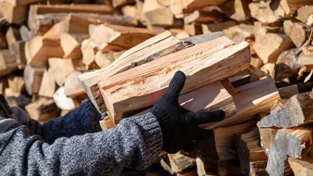 Preţ lemne 2025. Cât costă încălzirea cu o centrală pe lemne în această iarnă, creşteri semnificative faţă de anii trecuţi