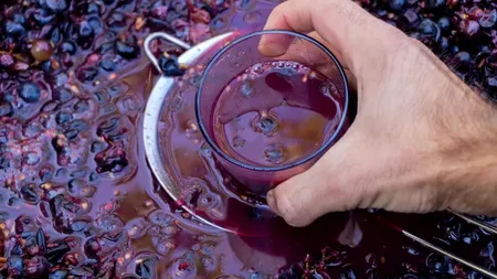 Cum păstrezi corect mustul, astfel încât să nu se transforme rapid în vin. Trucul care te ajută să te bucuri mai mult de băutura vedetă a toamnei